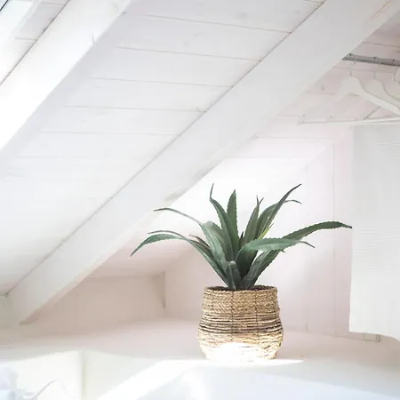 E Loft * Spartokhorion